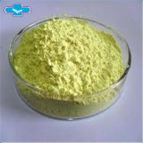 Natural and High Purity Extract Rutin 95%