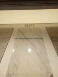 Building Material New Special Natural Full Body Marble Porcelain Tile