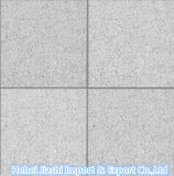 Cheap Flamed White Granite G603 for Engineering Slabs/Tiles