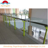 10mm 8mm 12mm Tempered/Door Guardrail Glass Prices