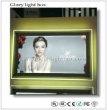 Hot Crystal Light Box Display (SJ037)