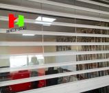 Polycarbonate Transparent Roller Shutter Door