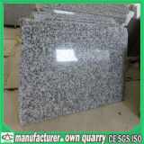 Colourful Natural Stone Granite for Flooring / Wall Tile