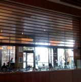 Overhead Transparent Soft Curtain Grilles Full View Rolling Door (Hz-TD026)