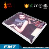 LED Slim Advertising Light Box for Shop