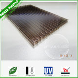 Ten Years Guarantee Lexan PC Crystal Twin-Wall Polycarbonate Hollow Sheet