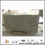 Factory Price China White Rose Granite Countertop