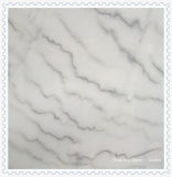 Chinese White Marble Slab for Tiles and Countertop