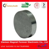 Strong Ring Anisotropic Ferrite Magnet for Speaker