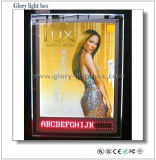 Crystal Light Box with Running LED Display (SJ039)