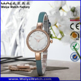 Customize Service Casual Quartz Fashion Ladies Wrist Watches (Wy-075F)