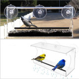 Clear Bird Feeder Entertaining Bird Watching From Inside Your Home