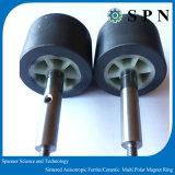 Ceramic/Permanent Ferrite Multipole Anisotropic Magnet/ Integral Rotor