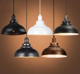 Aluminum Loft Pendant Lamp (WHP-891)