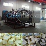 Mangosteen Vacuum Freeze Dryer/Mangosteen Lyophilization Lyophilizer