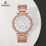 Original Stainless Steel Cover 10ATM Waterproof Women's Diamond Watch71305