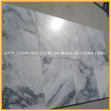 Natural Polished White/Black Wooden Stone Marbles for Flooring/Countertop/Paving/Wall