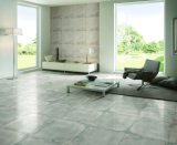 New Arrival Porcelain Floor in Sri Lanka (AJCE01 AJCE02)