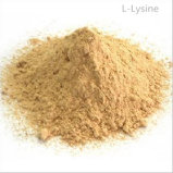 Feed Additives L-Lysine Animal Fodder 98.5%