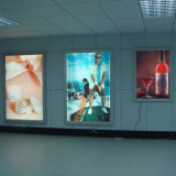 LED Light Box for Advertising Equipment