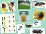 Agrochemicals Plant Protective Pest Control 20% Ec Blattanex