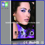 Wall Mounted LED Slim Light Box Acrylic Advertising Display