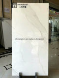 Beautiful Design Building Material Full Body Marble Floor Stone Tile