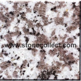 G439 White Coarse Grain Puning Granite Tile & Slab