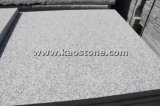 Cheap/High Quality Grey Granite G603 for Wall/Floor Customize