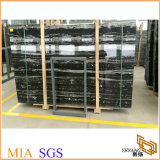 China Silver Dragon Marble, China Black Marble for Tiles/Flooring/Stairs