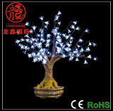 LED Bonsai Tree Light