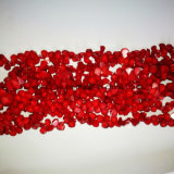 Fashion Stone Natural Crystal Red Sea Bamboo Coral Drop Bead