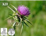 Plant Extract Milk Thistle P. E Siylymarin & Silybin