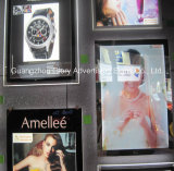 Magic Mirror Advertising with Motion Sensor