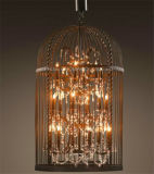 Phine Decorative Birdcage Fashion Pendant Lamp Interior Lighting with Crystal