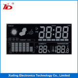 Customerized Va Type Monochrome Small Size LCD Screen Display