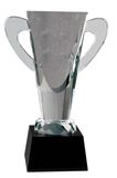 Crystal Trophy New Design