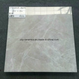 Building Material Natural Stone Full Body Marble Floor Tiles