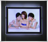 Wall Mounted Magnetic LED Acrylic Photo Picture Frame