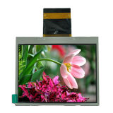 LCD Module Screen Tn Graphic LCD Display