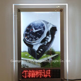 LED Walking Sign Light Box/LED Screen Display