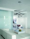 Modern Class Chandelier Pendant Lamp (OM903)