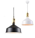 Modern Aluminum Pendant Lamp (WHP-882)