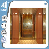 Zhejiang Manufacturer Vvvf Machine Roomless Villa Elevator