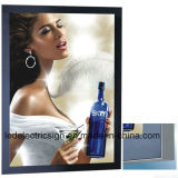 Textile Aluminium Advertising LED Display Light Box