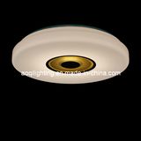 2015 Modern LED Ceiling Lamp 22015A