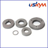 AlNiCo Ring Magnets / Casting AlNiCo Magnet / Strong Magnet