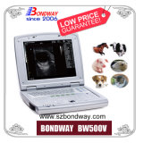 Medical Equipment Portable Ultrasound Veterinary Ultrasound