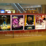 Shopping Malls LED Display Light Boxes