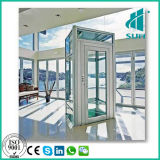 Luxury Home Lift with Competitive Price